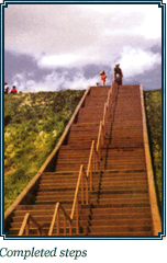Step Repair