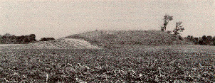 Mound 5